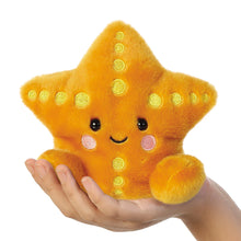 Load image into Gallery viewer, Palm Pals Treasure Starfish Soft Toy