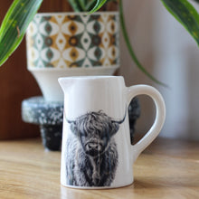 Load image into Gallery viewer, Beautiful Ceramic Highland Cow Print Jug - Various Sizes