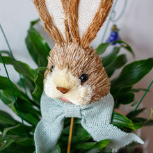 Load image into Gallery viewer, Bristle Bunny Head On Pick
