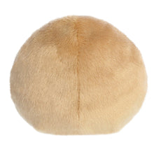 Load image into Gallery viewer, Palm Pals Claire Donut Soft Toy
