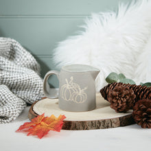 Load image into Gallery viewer, Ceramic Grey Pumpkin Jug
