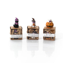 Load image into Gallery viewer, Resin Halloween Keepsakes In Boxes - Various Designs
