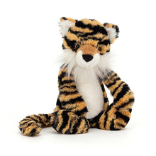 Load image into Gallery viewer, Medium Bashful Tiger
