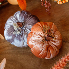 Load image into Gallery viewer, Velvet Pumpkin With Glittery Stem - Various Colours
