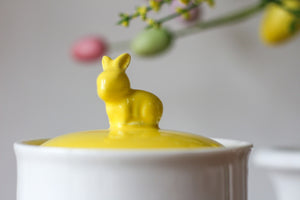 Porcelain Jar With Bunny Print & Contrasting Bunny Lid