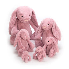 Load image into Gallery viewer, Jellycat Bashful Bunny - Tulip, Various Sizes - Derbyshire Gift Centre
