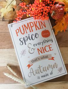 Pumpkin Spice Hanging Sign 30cm