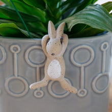 Load image into Gallery viewer, Bunny Pot Hanger - Forward Facing
