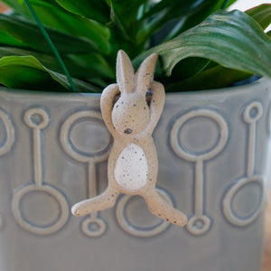 Bunny Pot Hanger - Forward Facing