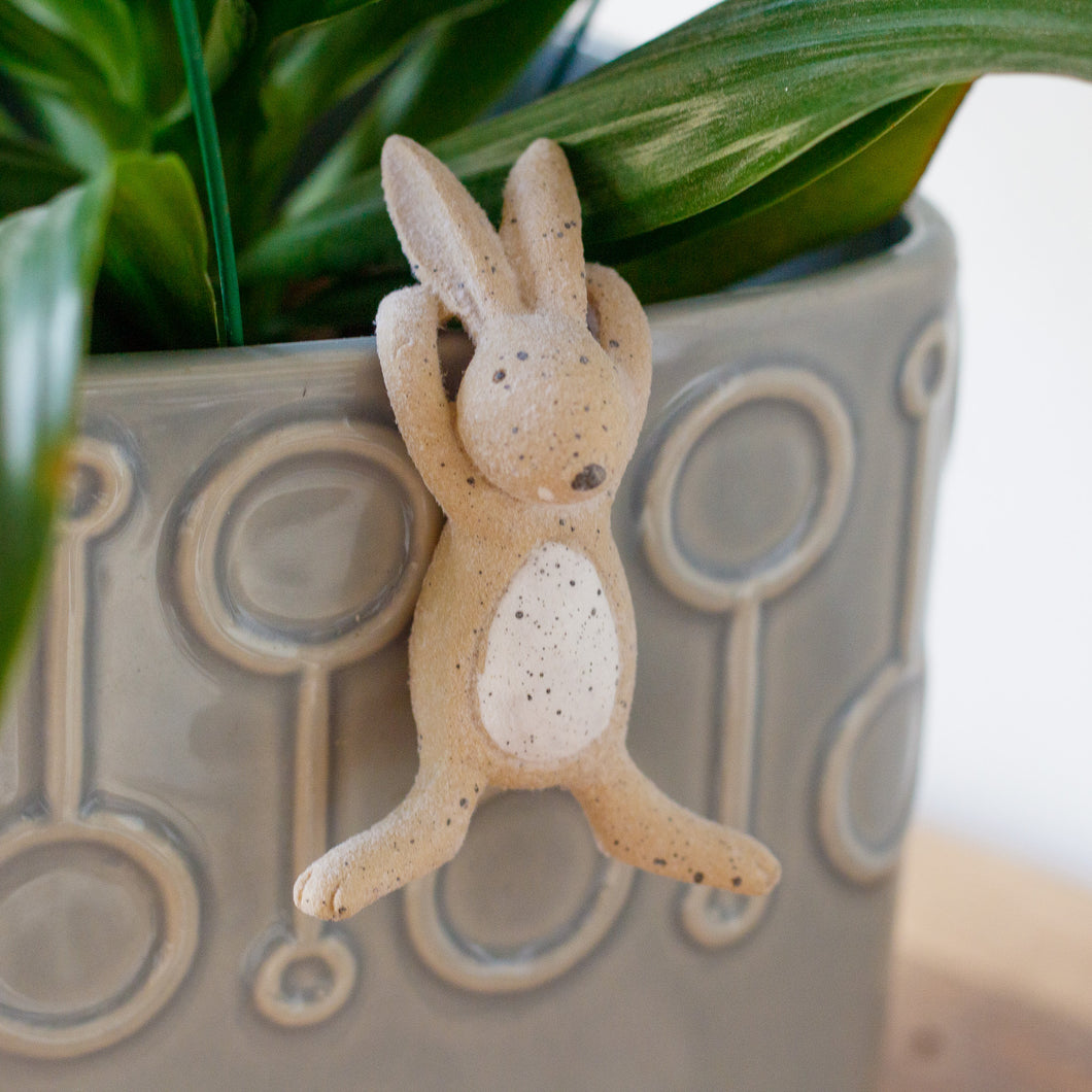 Bunny Pot Hanger - Forward Facing