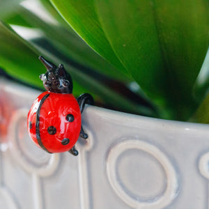 Glass Ladybird Pot Hanger